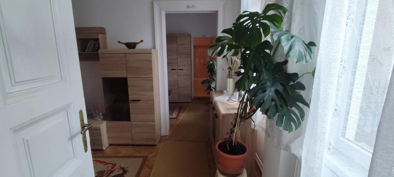 Julia Apartman. Budapešť Exteriér fotografie